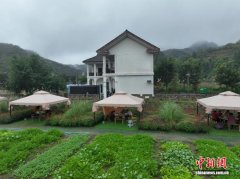 冬日农事忙  中国“西部菜都”新农人辈出